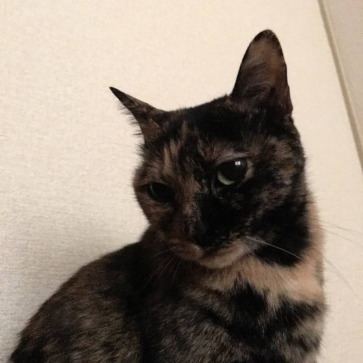 3d726a0a 9372 4b17 ae7f dcbc2be29e08