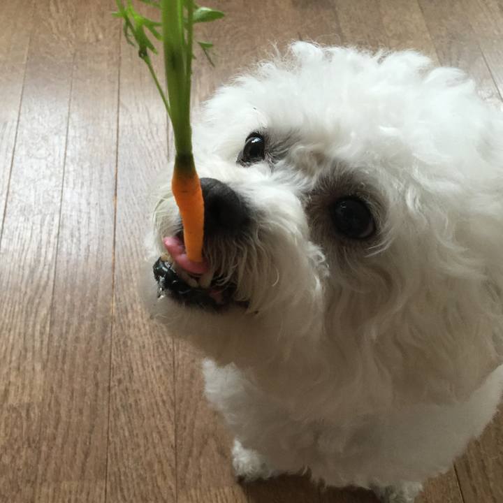 3d72eefd 82cc 4c8d 9271 7e97adc3d109