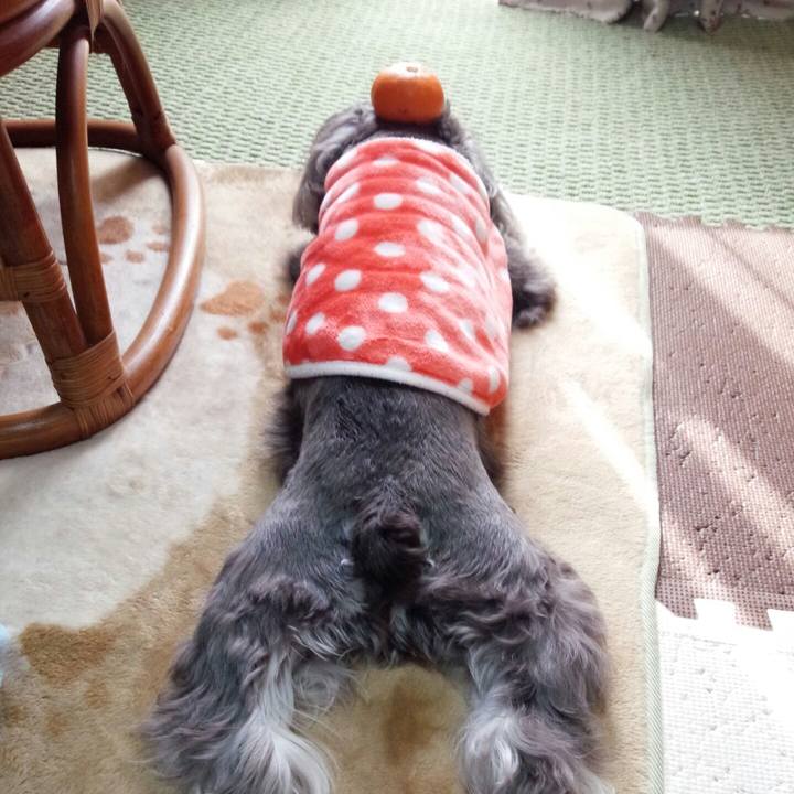 3d73360e fc22 4e98 b672 3f524370f16b