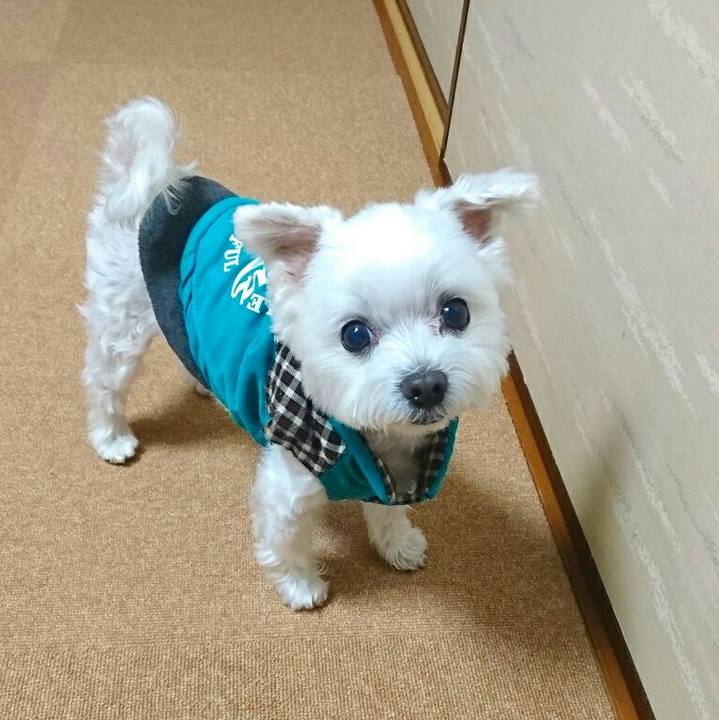 3d742e0b 961a 43e1 baf7 1c855600e536