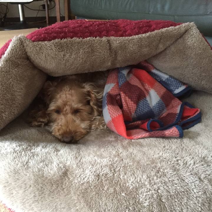 3d746d8d e6f0 40a5 b3d9 cb52668e6355