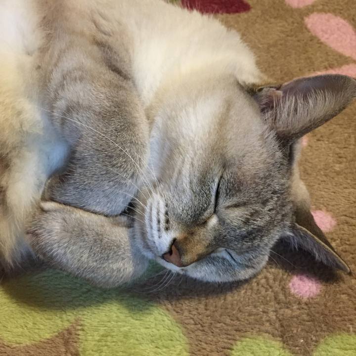 3d749176 3231 4ece 868f 19803fd07cab