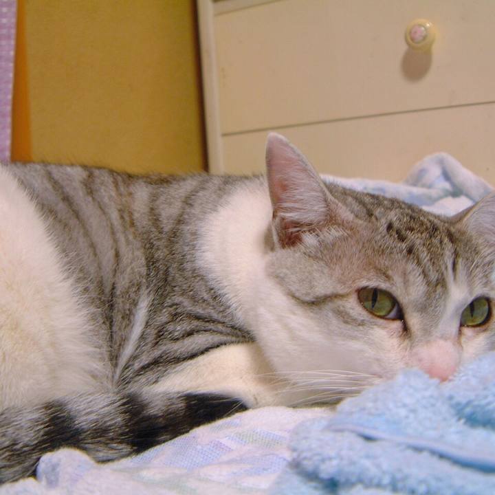 3d758978 6c83 462e a6cd ce43fbc43803