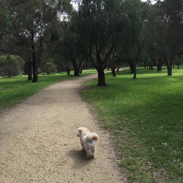 3d7607df 6f51 4704 b872 fb1c8aee1a1f