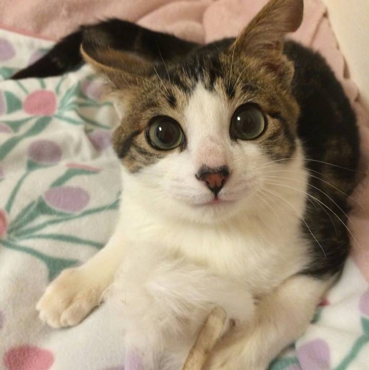 3d761064 b021 4743 be0b 8e8752cfbc64