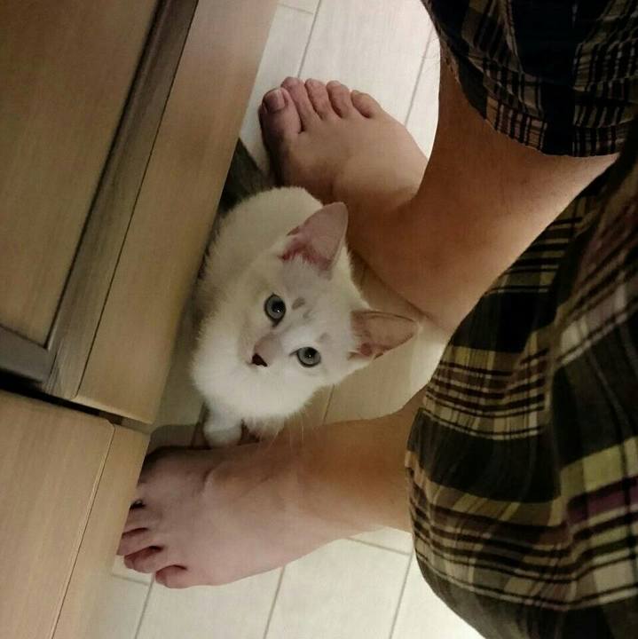 3d764fa0 90e2 4e89 8a5a cd831a79fd80