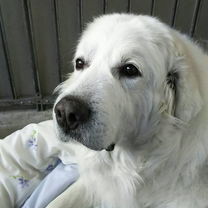 3d76588f 02f7 4f32 bd8c ee6d98332bda