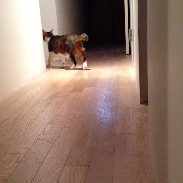 3d76b7fd d8af 4ce5 a6e1 e0a03ffdc9be