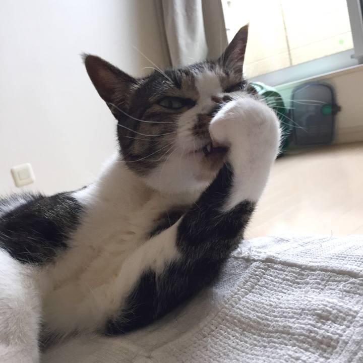 3d76be90 c712 49a0 8dc1 c65a9f823f5f