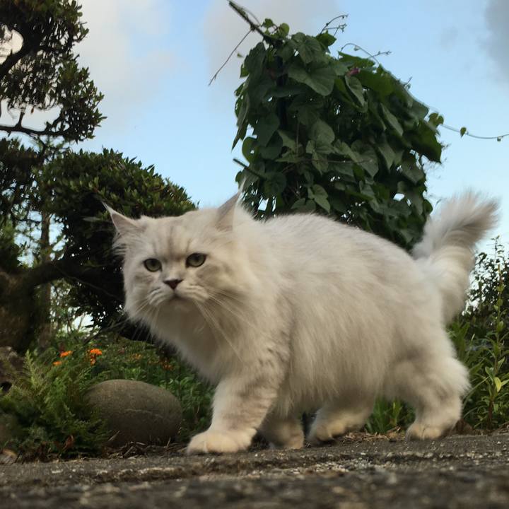 3d76cef2 121b 4a72 a735 a1b618338697