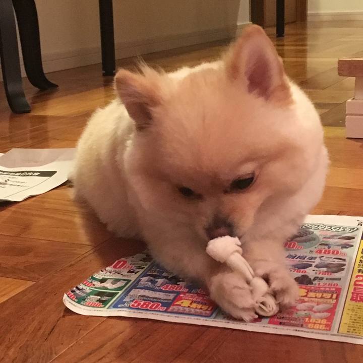 3d76e034 5162 44fa 8318 2fd3b3bce1ae