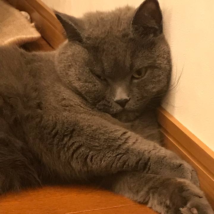 3d77843a 5997 4bd8 9201 91bf41dcfa6a