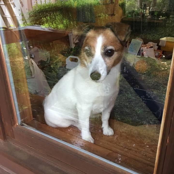 3d778cce c106 403c 887e 425b2eb4873e