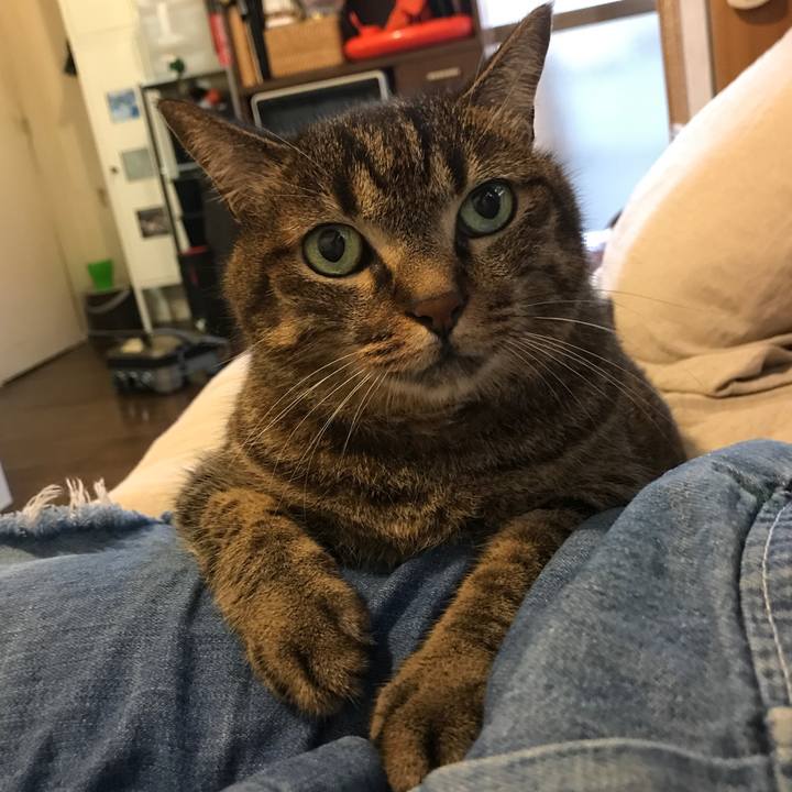 3d77efc9 5cff 4c27 b0aa d1ee4e123f59