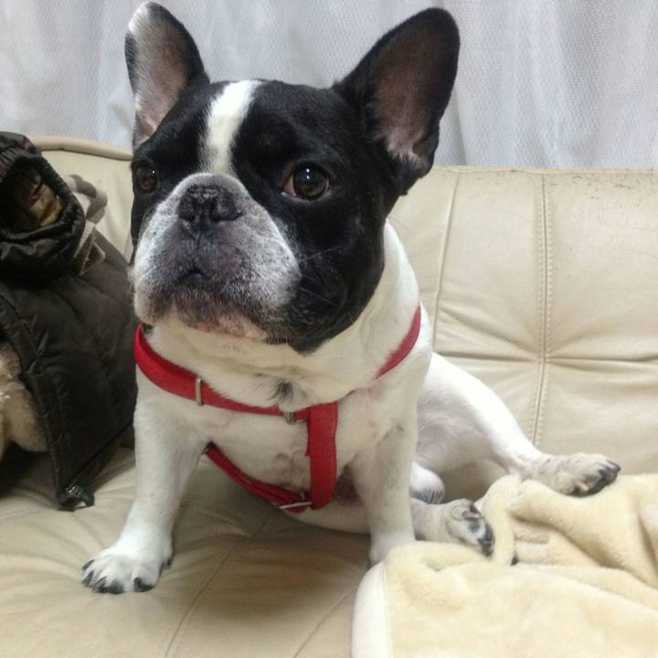 3d77f2ec 8cbd 4072 ae90 24b890b99144