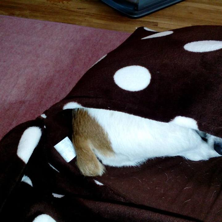 3d784378 68c1 4752 9a23 ea40efc0bd48