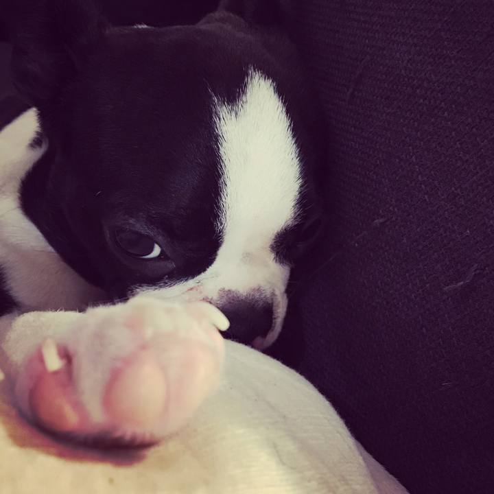 3d78600e c590 4d36 ae77 2590e926f711