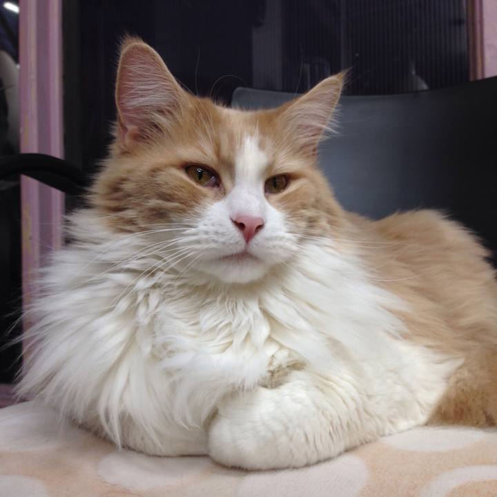 3d7892f0 eb65 44ab b99f b7ed670c735f