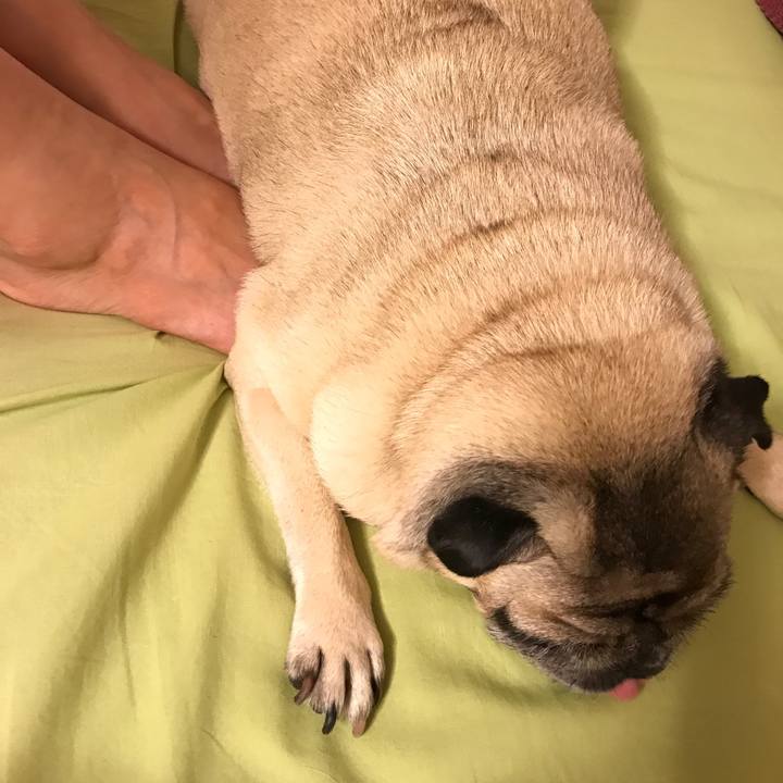 3d78a92e b4b7 49a5 b4b8 3acc3618ad6f