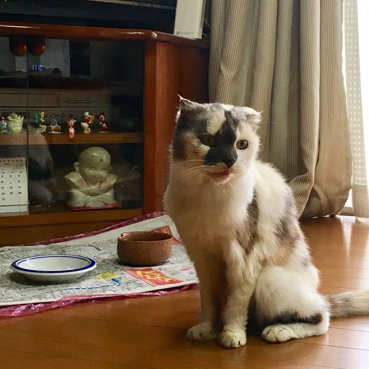 3d7920f9 1ec1 47c1 b0c8 c22a9473d213