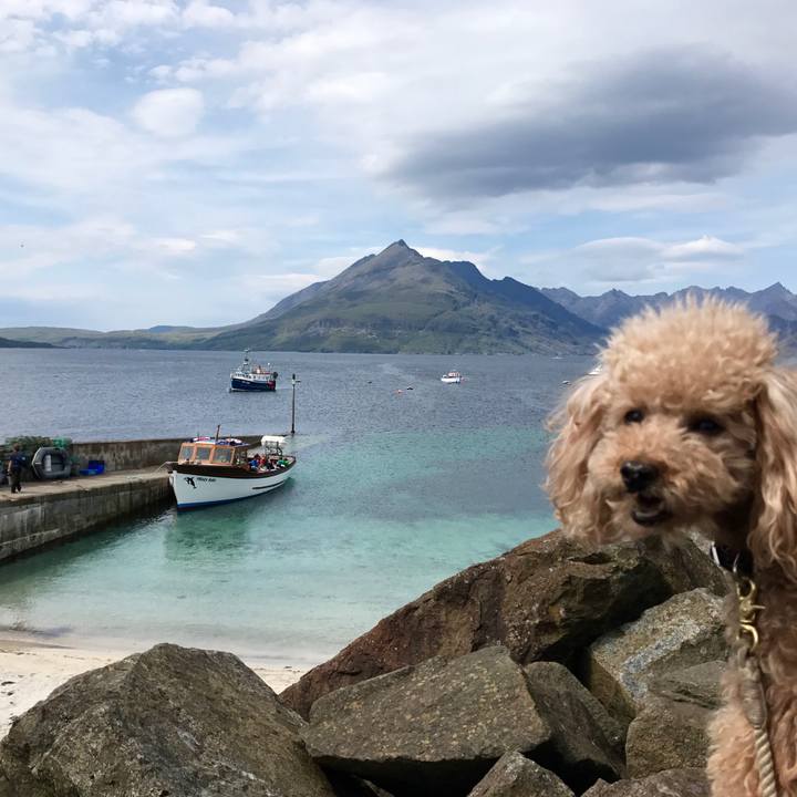 3d794693 3350 4aaa 933c b92ced419c90