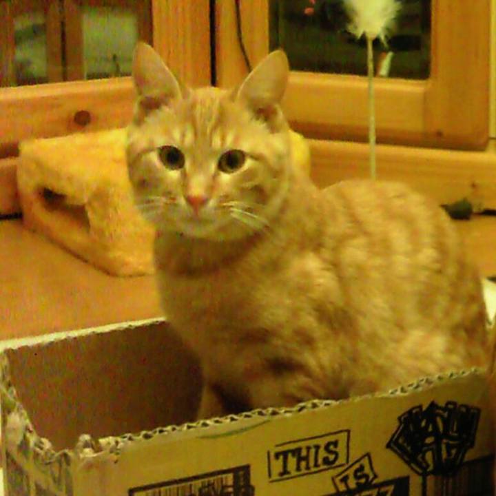 3d794d1e 3c43 470f 93c1 95ac5c139c67