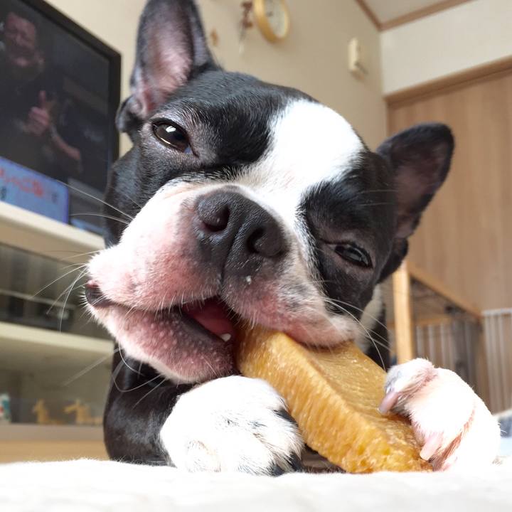 3d796532 c693 49ed 8a44 1ae06e458e8f