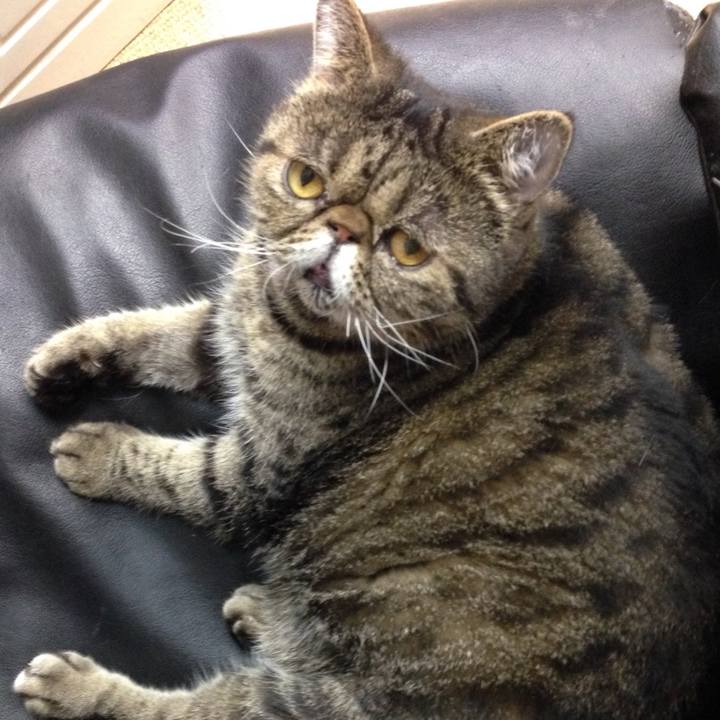 3d7a804e 85bc 41f2 bd72 7a6792bbb76d