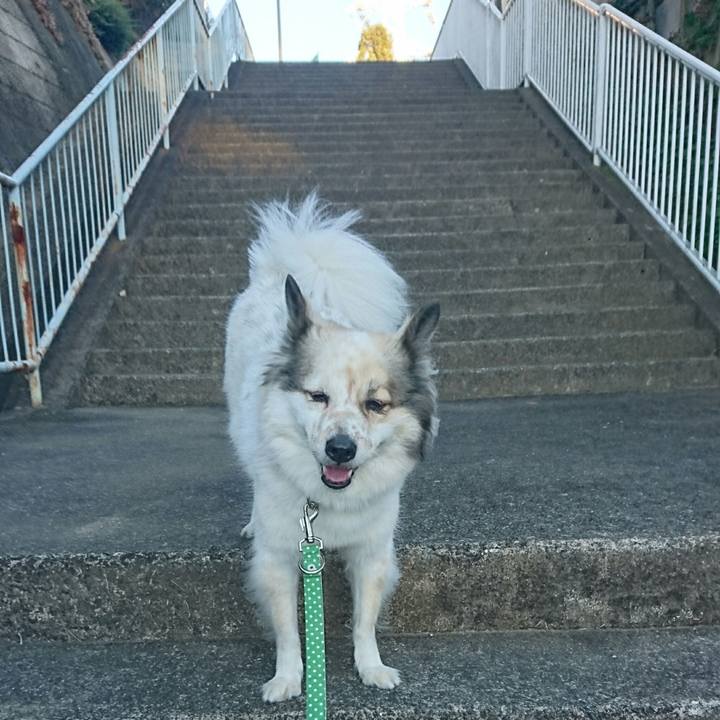 3d7aa4e3 dbc3 4cdf 8b2d 5779b04ac35f