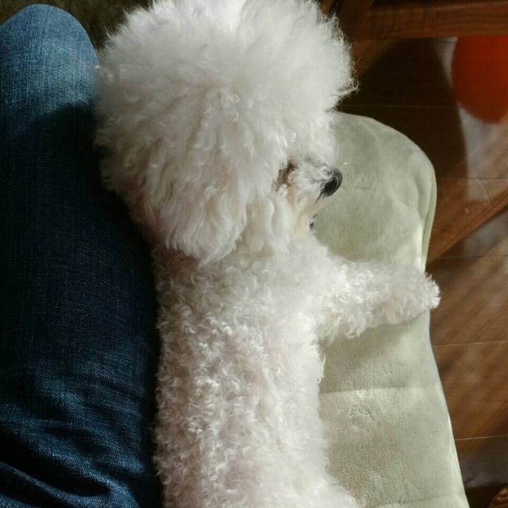 3d7acc87 67d2 4254 b7b5 318bd12126ff