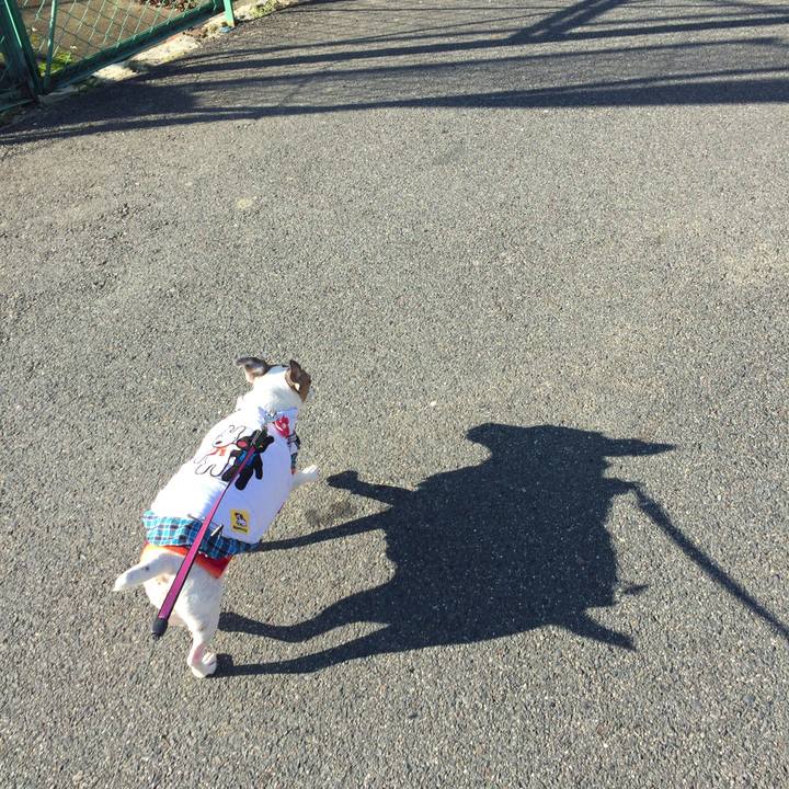 3d7b291d fdf1 4804 a1d6 740943ff59f6