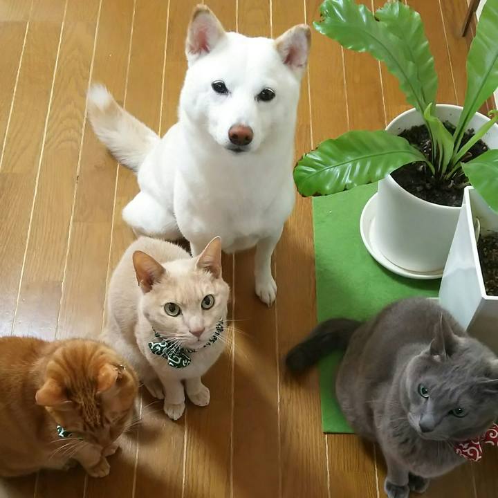 3d7b470b 2d7d 4617 9c59 89c8af4baa81