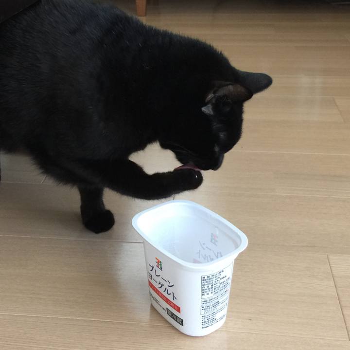 3d7c70f1 2ed1 4799 81d5 95489ece881b