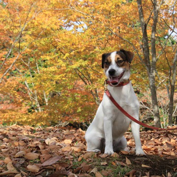 3d7cf20e b7fe 4aa7 8b72 15f57dfbbedb