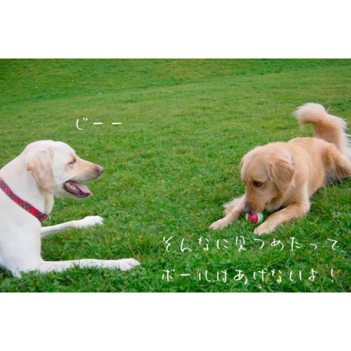 3d7db0b6 f9f6 438f 9d7b bf0143c86631
