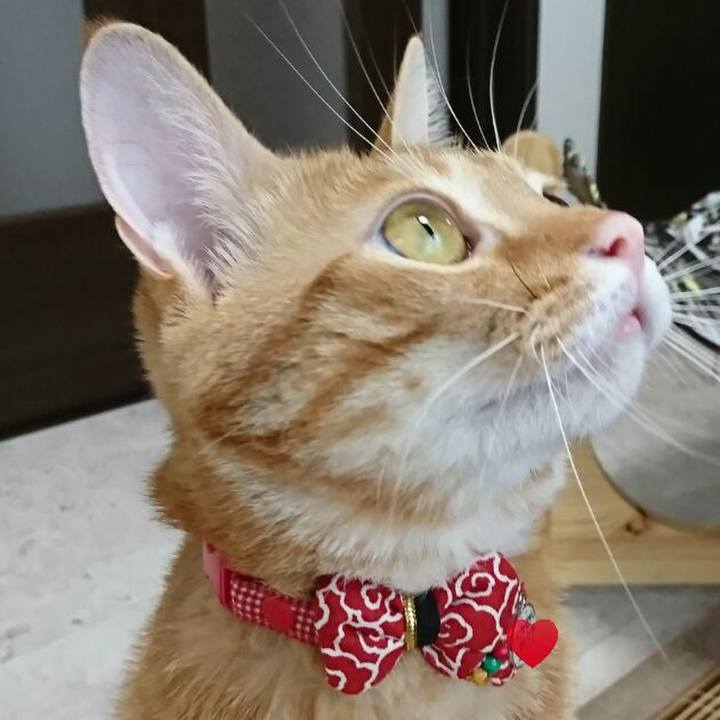 3d7dccff 30a1 4ac5 a4f8 59984e29b5ac