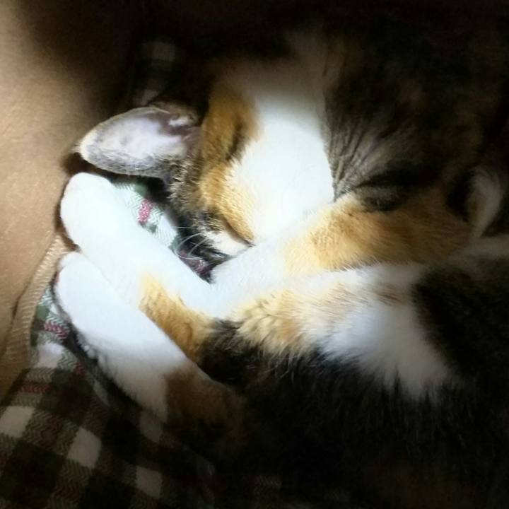 3d7df1ff 2b67 4013 845b b00c8279a0df