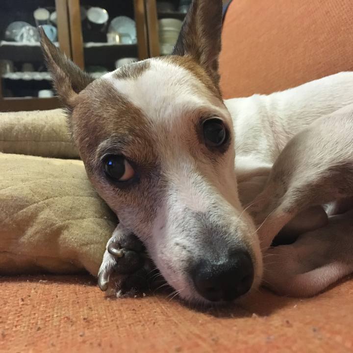 3d7df74a 7665 46a8 967c 95fa03319543