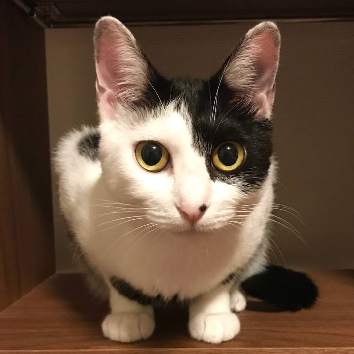 3d7e1eca 6cce 467e b7ea d4e0f281bce6