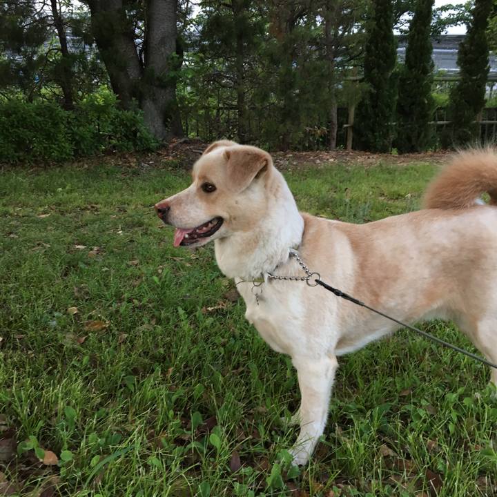 3d7e56f3 3868 46eb 8144 610043fc8f53