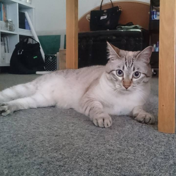 3d7e83f4 39d8 48f0 a0c1 5aecaadabfa6