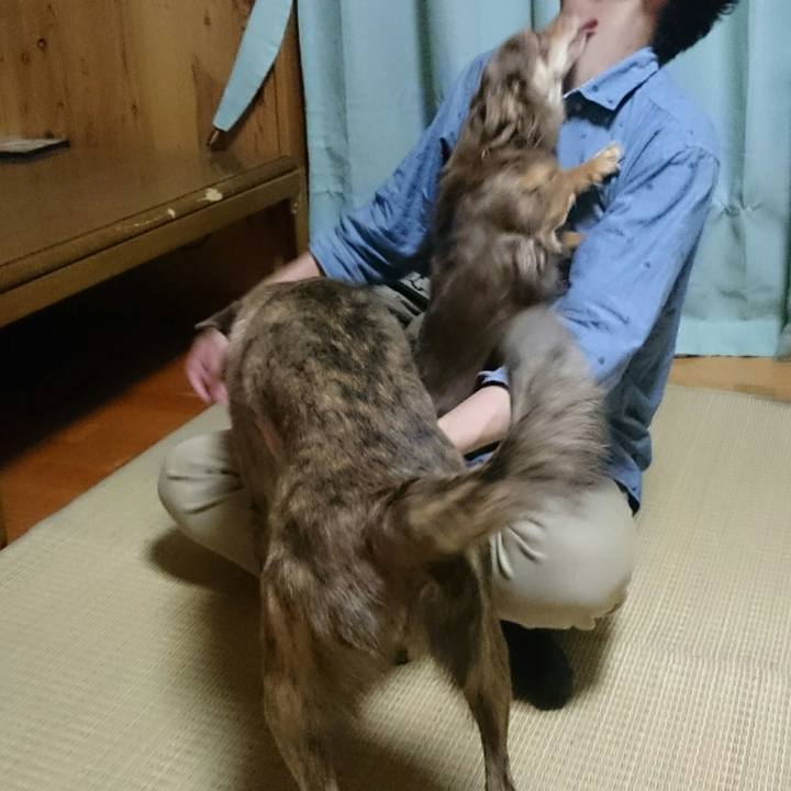 3d7ea033 7ffe 4a29 ad97 907951efc6ec