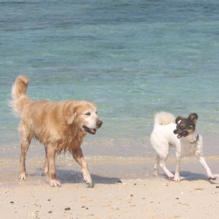 3d7fa827 5802 43eb 814c cabd2ea6df83