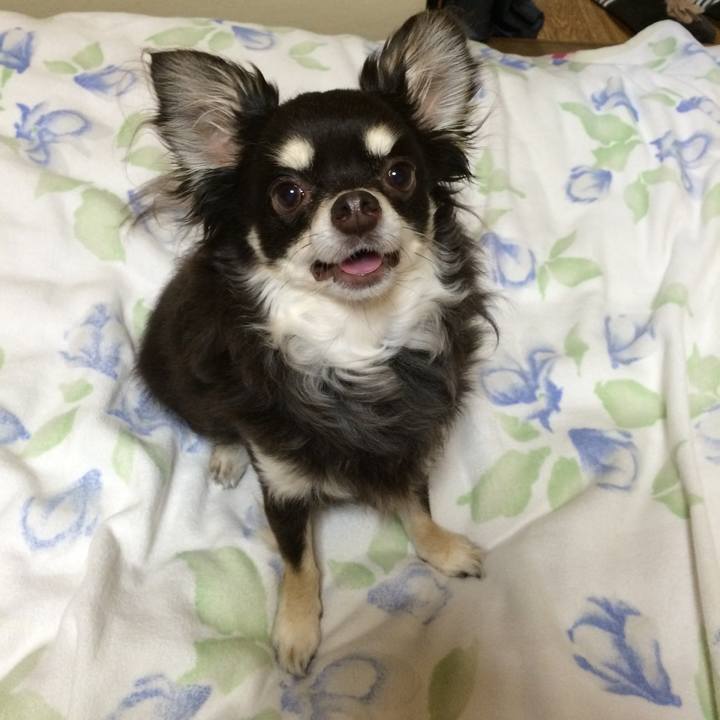 3d7fc0a3 66b2 46e3 98a2 bcd049712c20