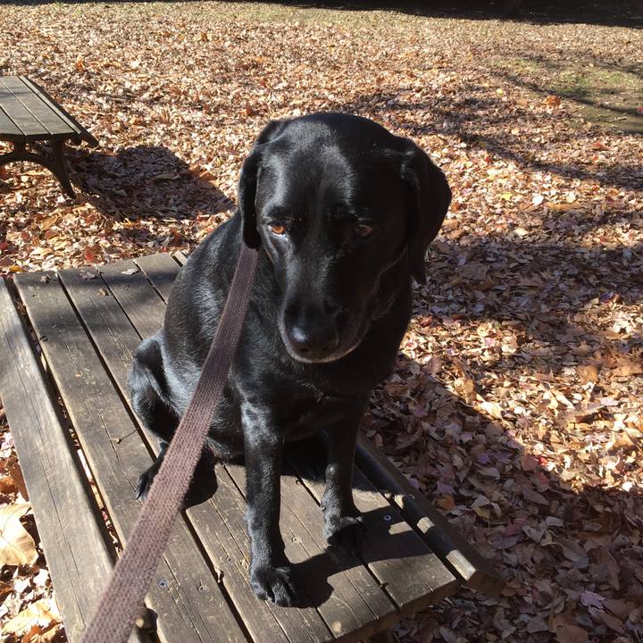 3d800ee4 e5e3 4d59 896b 46585675aa8e