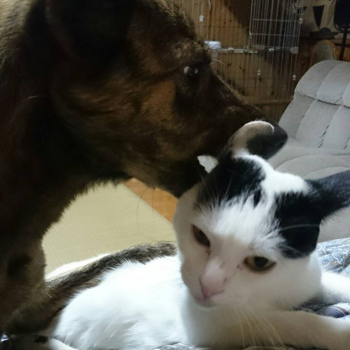 3d8014d1 5da7 44d2 a63b 9d97621054f3