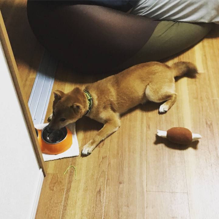 3d804730 be52 4239 a881 bbe8b41c115e