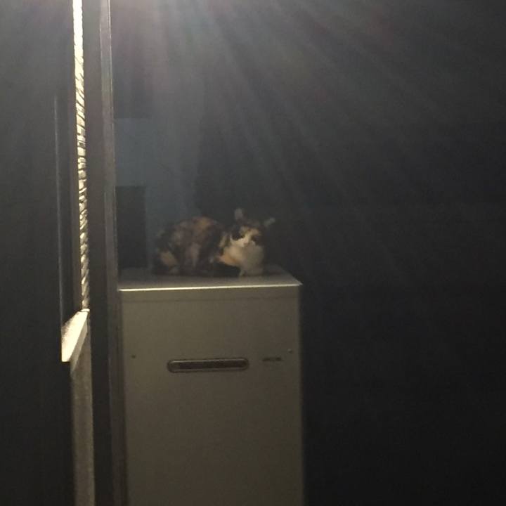 3d80de7a 4ac6 4f06 94fa c9ca6fd4037f