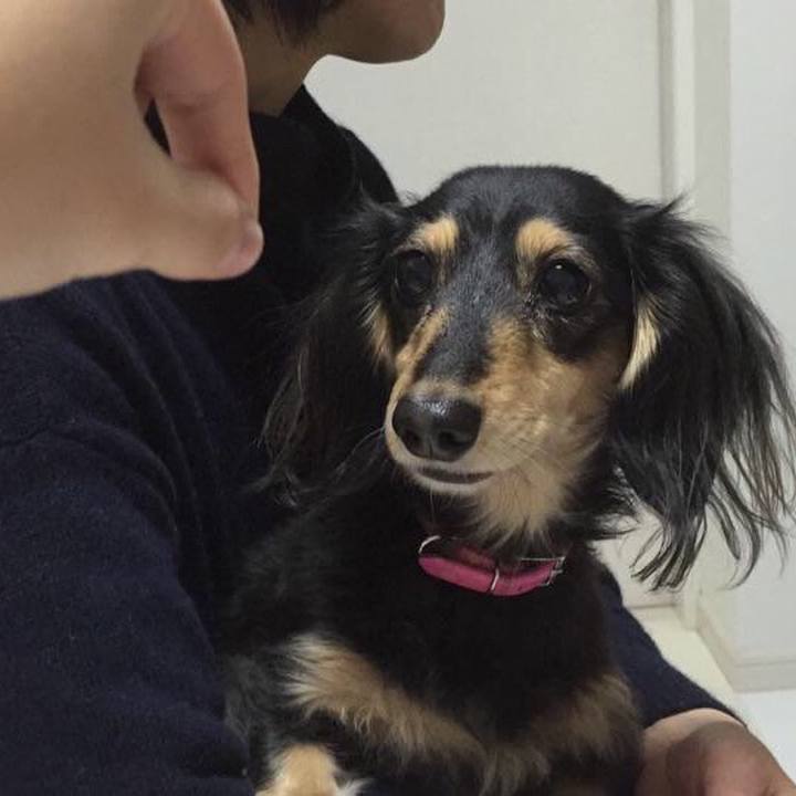 3d816046 a7dd 4e94 a1d6 5353ca0df148