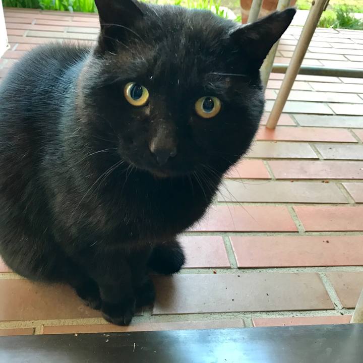 3d816796 eb4b 42ac 9659 ec93ea025cb4